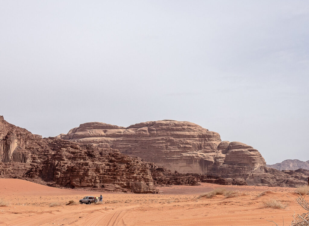Desert landscape